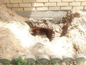 foundation repair